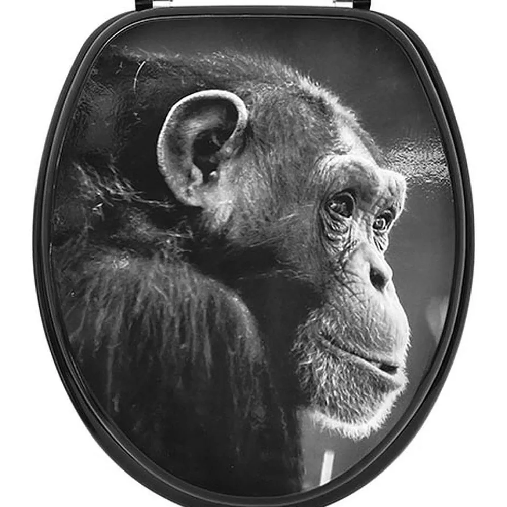 Abattants Wc|* Abattant Wc 18 Pouces Attaches Acier Inoxydable Cheeta