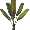 maxibazar Bananier 6 Feuilles Pot H.160Cm- Fleurs Et Plantes En Pot