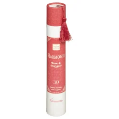 maxibazar Baton Encens H.25Cm X30 Pieces Avec Support Doli- Senteur Doli