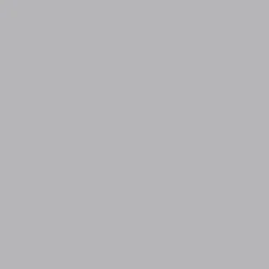 maxibazar Bobineau Adhesif 0.45X2 Ml Uni Gris- Adhesif Et Vitrostatique