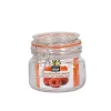 Conservation|* Bocal Hermetique Clip Metal 0.5L