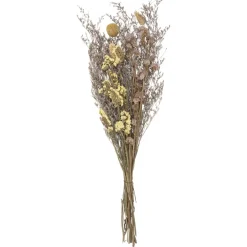 Atmosphera Bouquet Fleurs Sechees H.50Cm- Fleurs Et Plantes