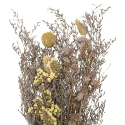 Atmosphera Bouquet Fleurs Sechees H.50Cm- Fleurs Et Plantes