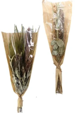 maxibazar Bouquet Fleurs Sechees H.80Cm 2 Modeles Assortis- Fleurs Et Plantes