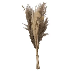 Atmosphera Bouquet Pampa Origines H.58Cm- Fleurs Et Plantes