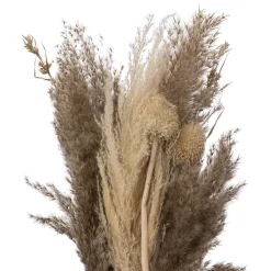 Atmosphera Bouquet Pampa Origines H.58Cm- Fleurs Et Plantes