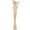 Atmosphera Bouquet Seche- Bouquets
