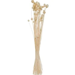 Atmosphera Bouquet Seche- Bouquets