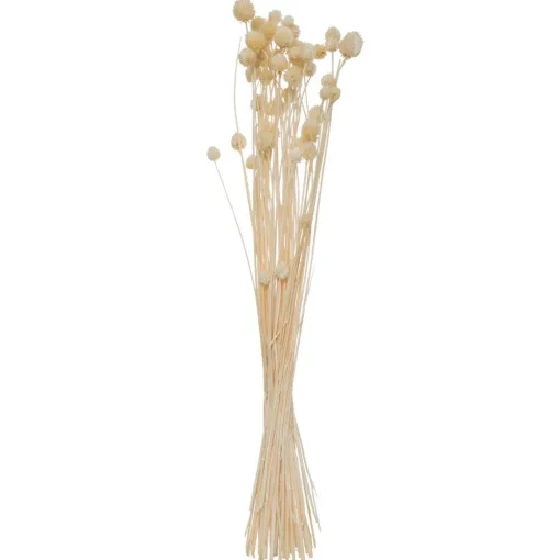 Atmosphera Bouquet Seche- Bouquets