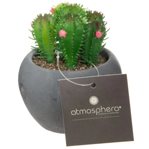 Atmosphera Cactus Pot Ciment Noir D.6.5Cm- Fleurs Et Plantes En Pot