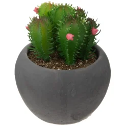Atmosphera Cactus Pot Ciment Noir D.6.5Cm- Fleurs Et Plantes En Pot
