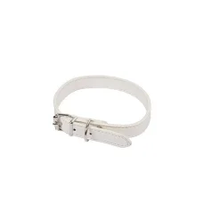 Couchage Et Transport|* Collier 40Cm Blanc