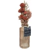 maxibazar Composiiton Fleur Sechee Vase Verre Wonder- Fleurs Et Plantes