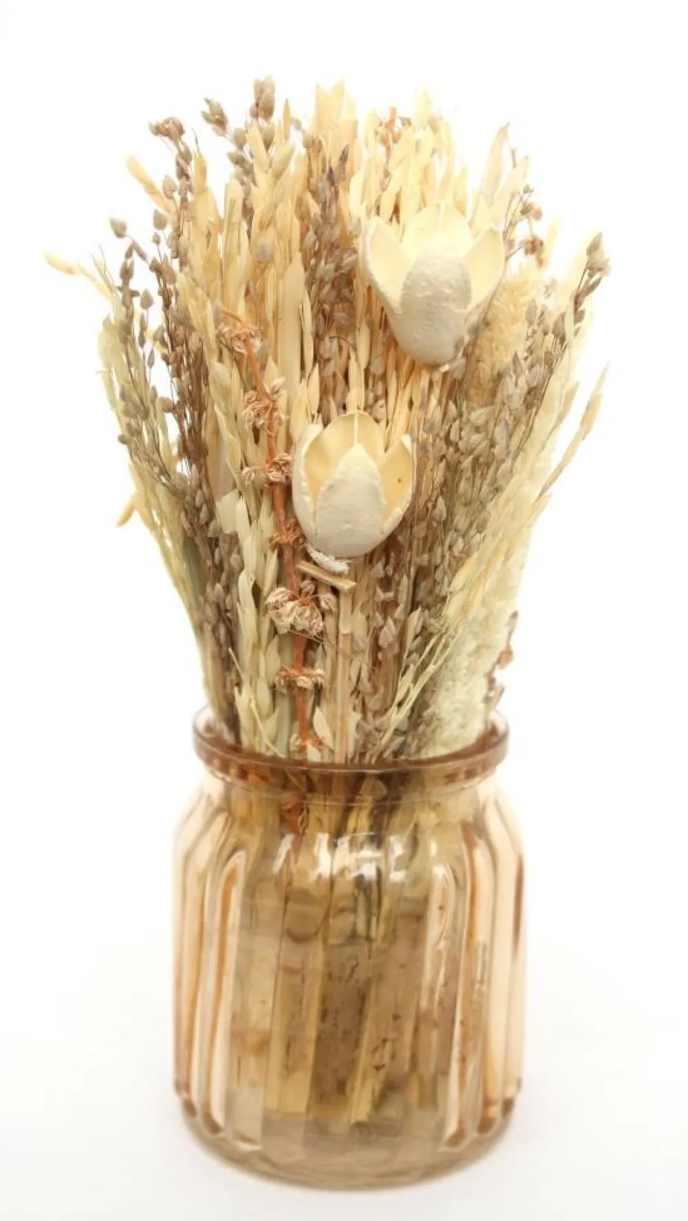 maxibazar Composition Fleurs Sechees Pot- Compositions Florales