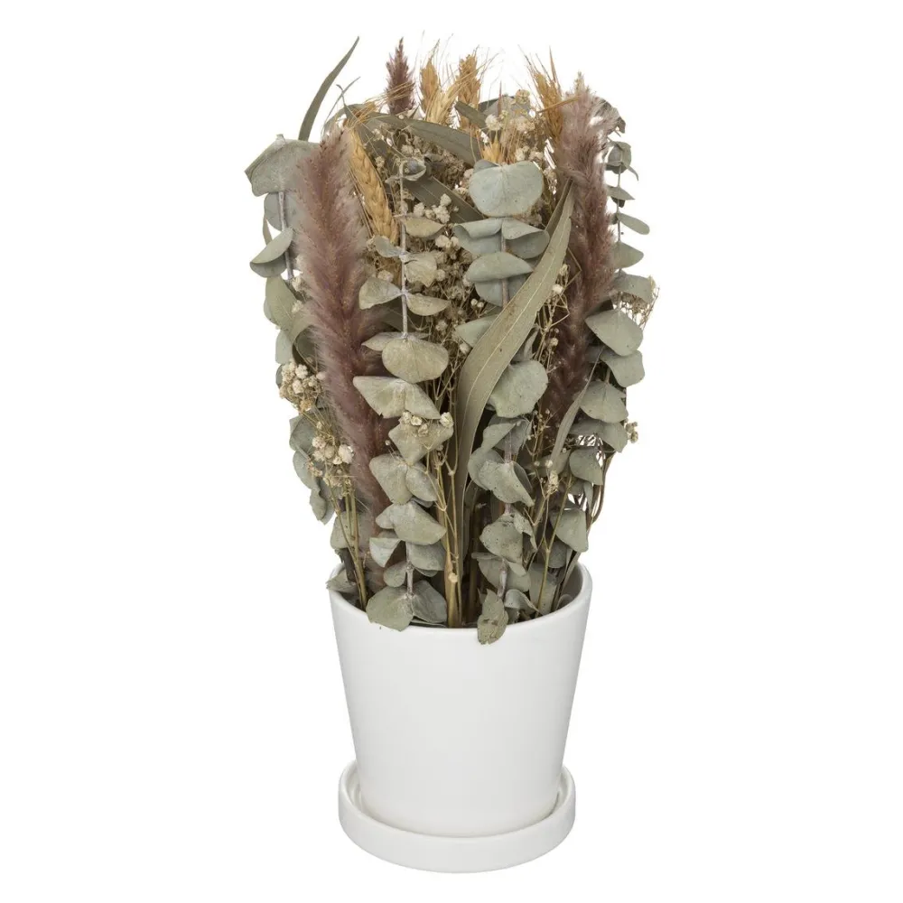 maxibazar Composition Fleurs Sechees Pot Ceramique- Fleurs Et Plantes