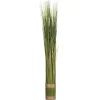 Atmosphera Fagot D Herbe H.79X8Cm- Fagots