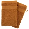 maxibazar Gant X2 450Gsm Canelle 15X21Cm- Eponge 450G