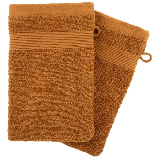 maxibazar Gant X2 450Gsm Canelle 15X21Cm- Eponge 450G