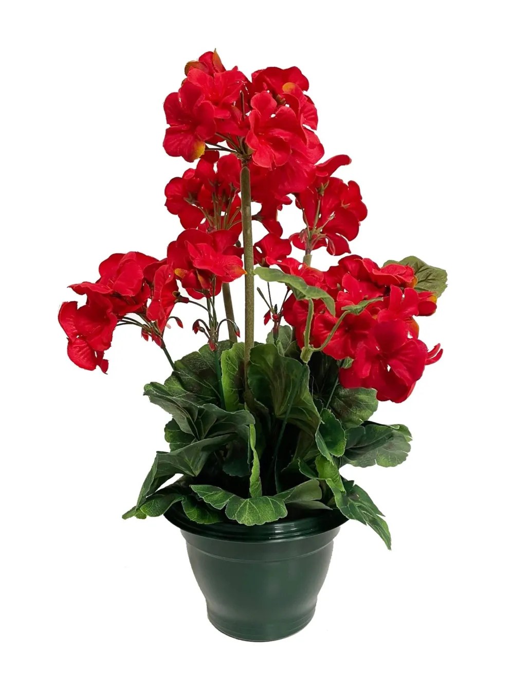 maxibazar Geraniums Pot H.37Cm- Fleurs Et Plantes En Pot