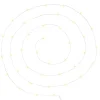 Atmosphera Guirlande 40 Microled Chrome Blanc Chaud- Lampes Led