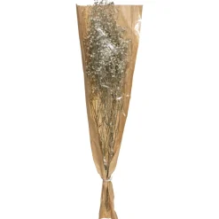 Atmosphera Gypsophile Naturel Seche H.58Cm- Fleurs Et Plantes