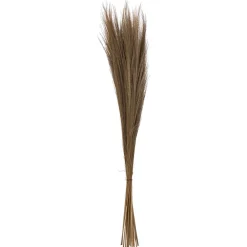 maxibazar Herbes Sechees Origines H.110Cm- Fleurs Et Plantes