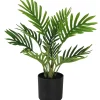 maxibazar Mini Palmier 10 Palmes Pot H.30Cm- Fleurs Et Plantes En Pot