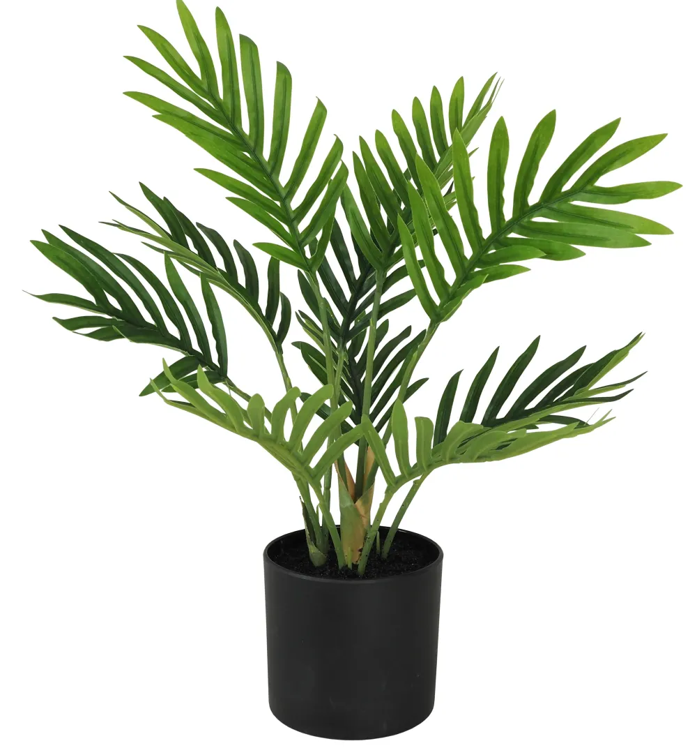 maxibazar Mini Palmier 10 Palmes Pot H.30Cm- Fleurs Et Plantes En Pot