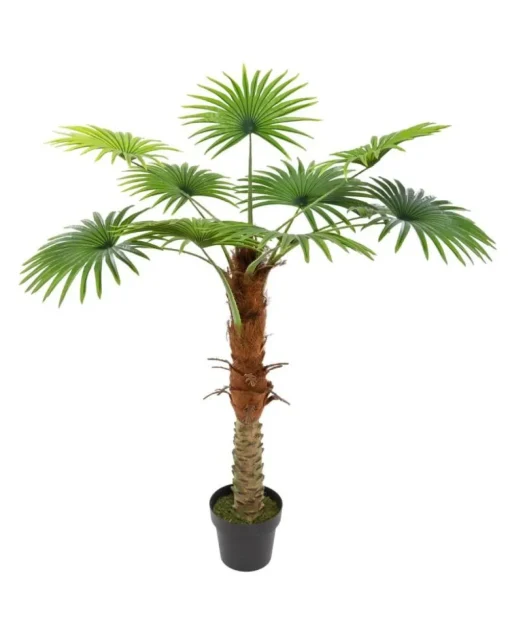 Atmosphera Palmier 1 Tronc H.120Cm- Arbres