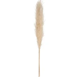 Atmosphera Pampa Naturel X3 Pieces H.110Cm- Fleurs Et Plantes