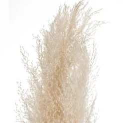 Atmosphera Pampa Naturel X3 Pieces H.110Cm- Fleurs Et Plantes