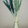 maxibazar Plumeau Pampa Naturel H.90Cm Bleu Et Vert X6 Pieces- Tiges