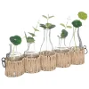 maxibazar Soliflores X5 Pieces Tiges Naturelles Cosy- Vases A Poser