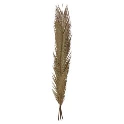 maxibazar Tiges Cycas Palm X3 Pieces Origines H.100Cm- Fleurs Et Plantes