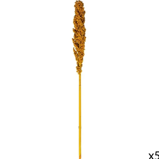 Atmosphera Tiges Sechees Naturel Ocre- Fleurs Et Plantes