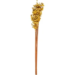 Atmosphera Tiges Sechees Naturel Ocre- Fleurs Et Plantes