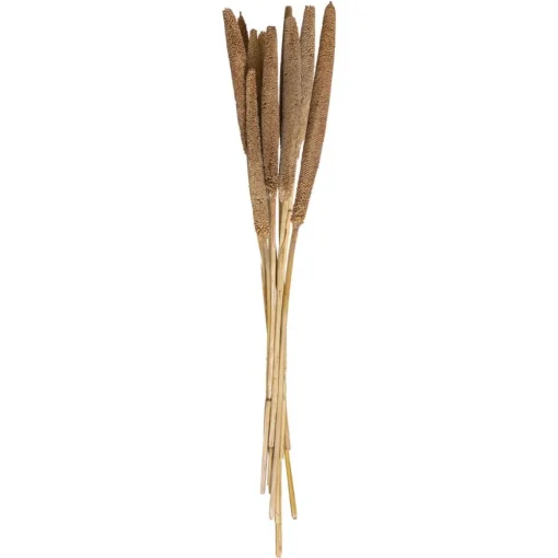 Atmosphera Tiges Sechees Naturel Ocre- Fleurs Et Plantes