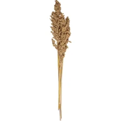 Atmosphera Tiges Sechees Naturel Ocre- Fleurs Et Plantes