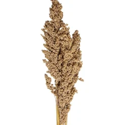 Atmosphera Tiges Sechees Naturel Ocre- Fleurs Et Plantes
