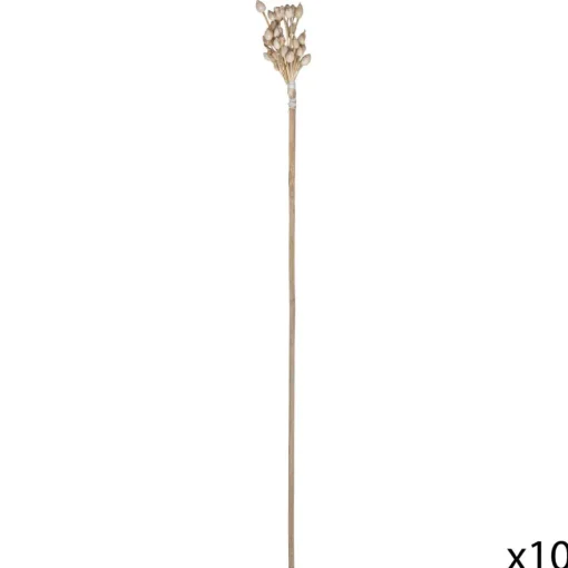 Atmosphera Tiges Sechees Naturel Ocre- Fleurs Et Plantes