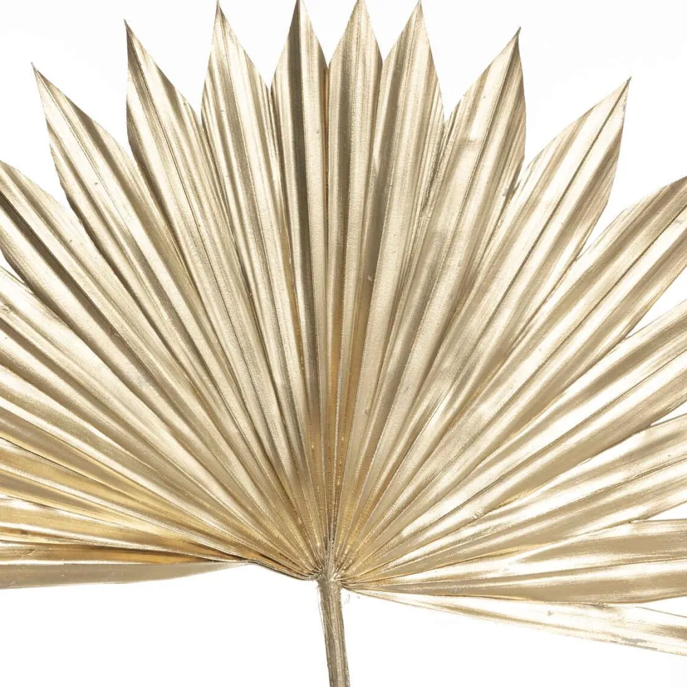 Atmosphera Tiges Sechees Or X3 Pieces Suite H.56Cm- Fleurs Et Plantes