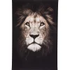 maxibazar Toile Imprimee Animaux D.75X115Cm- Toiles Et Tableaux