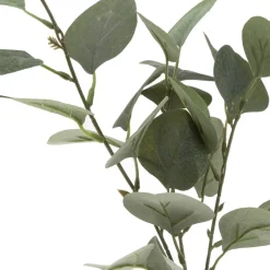 Atmosphera Vase Eucalyptus Et Corde H.45Cm- Compositions Florales